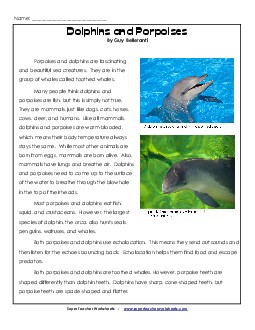 Dolphins and Porpoises (Non-Fiction) Reading Comprehension Worksheet