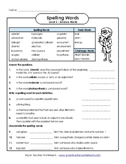 Question Worksheet Spelling E Worksheet