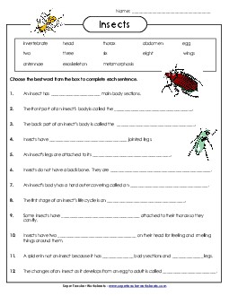 Insect Cloze Activity 2nd Grade Science Worksheet