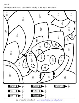 Fractions: Ladybug Mystery Picture Worksheet