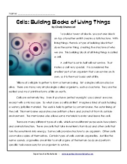 Cells: Building Blocks of Living Things 6th Grade Reading Comprehension Worksheet