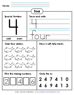 Special Number: 4 Counting Worksheet