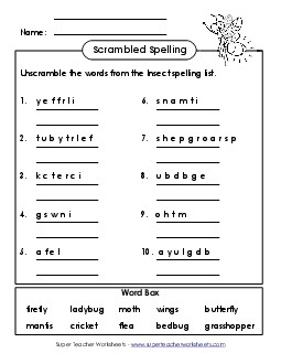 Unscramble the Spelling Words (B-Insect Words)  Spelling B Worksheet