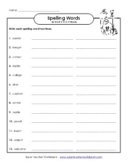 Write Twice (D-25) Spelling D Worksheet