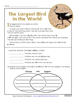 The Largest Bird in the World (Short, Nonfiction) 2nd Grade Reading Comprehension Reading Comp Short Worksheet