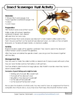 Scavenger Hunt: Insects 2nd Grade Science Worksheet