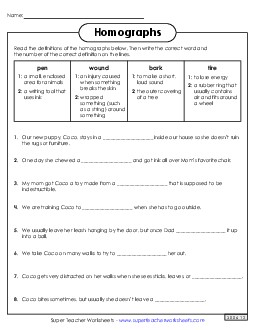 Homographs: Fill in the Blanks 3 Worksheet