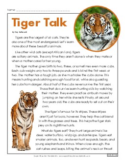 Tiger Talk 4th Grade Reading Comprehension Worksheet