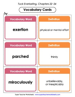 Vocab. Cards for Chapters 22-24 Book Tuck Everlasting Worksheet