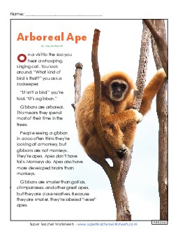 Arboreal Ape 4th Grade Reading Comprehension Worksheet