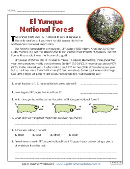 El Yunque National Forest 3rd Grade Reading Comprehension Reading Comp Short Worksheet