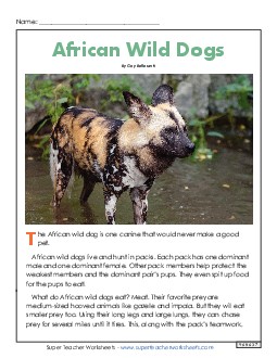 African Wild Dogs 4th Grade Reading Comprehension Worksheet