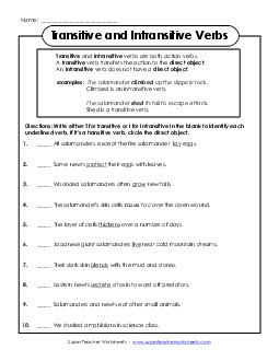 Transitive and Intransitive Verbs Grammar Worksheet