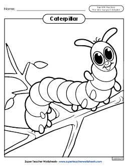 Caterpillar Picture Book Very Hungry Caterpillar Worksheet