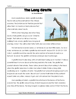 Giraffes 3rd Grade Reading Comprehension Worksheet