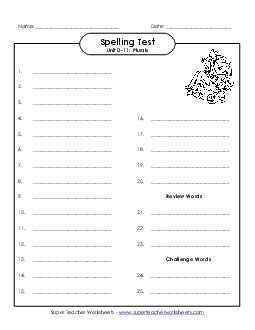 Spelling Test (D-11) Spelling D Worksheet