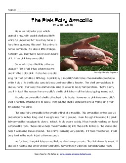 Pink Fairy Armadillos 3rd Grade Reading Comprehension Worksheet