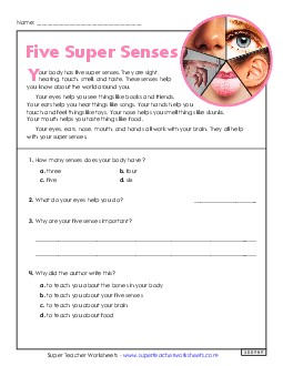 Five Super Senses (Nonfiction) 2nd Grade Reading Comprehension Reading Comp Short Worksheet