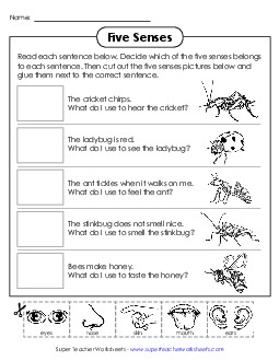 Five Senses Insect Cut & Glue 2nd Grade Science Worksheet