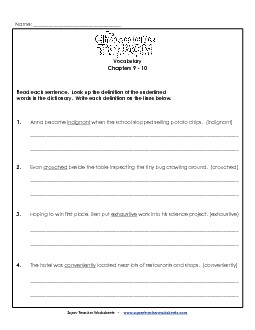 Vocabulary for Chapters 9 & 10 Book Chocolate Touch Worksheet