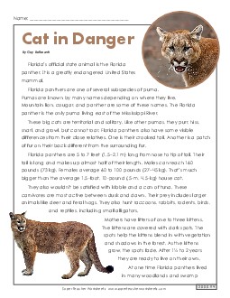 Cat in Danger  5th Grade Reading Comprehension Worksheet