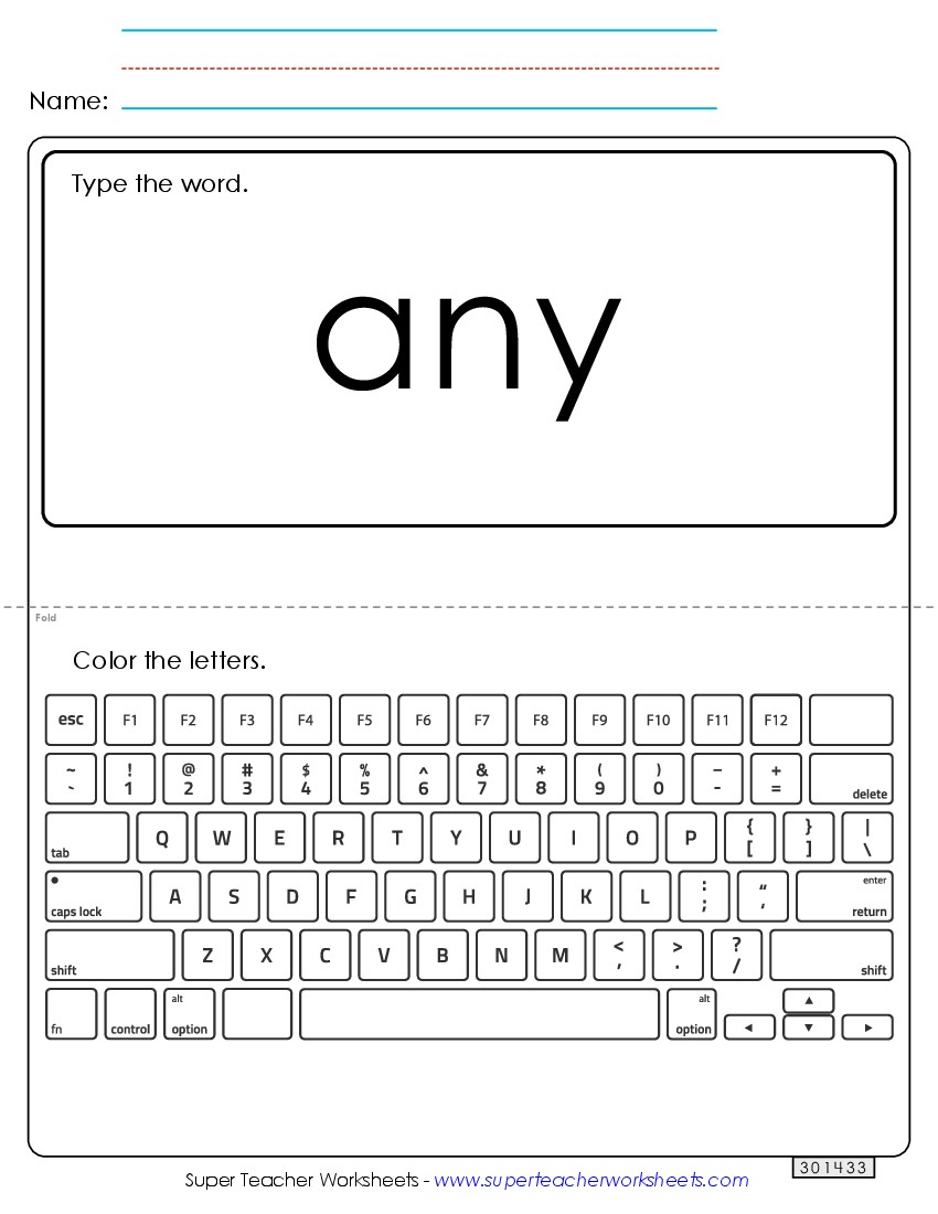 Type the Word: Any Sight Words Individual Worksheet