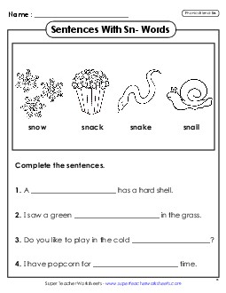 Sentences with Sn- Words Phonics Blends Worksheet