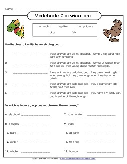 Vertebrate Classification Worksheet 2nd Grade Science Worksheet