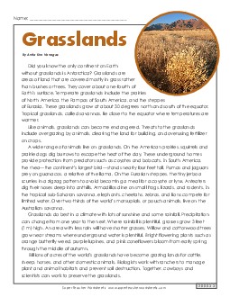 Grasslands 6th Grade Reading Comprehension Worksheet