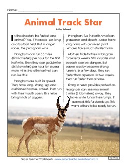 Animal Track Star 3rd Grade Reading Comprehension Worksheet