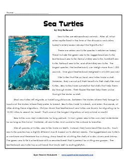 Sea Turtles 6th Grade Reading Comprehension Worksheet