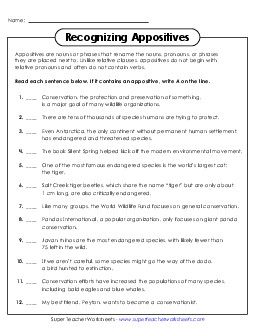 New Identifying Sentences with Appositives Worksheet