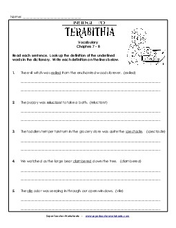 Vocabulary for Chapters 7 and 8 Book Bridge To Terabithia Worksheet