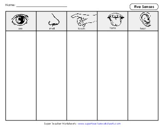 Column Organizer: 5 Senses Five Senses Worksheet