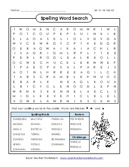 Word Search (D-14) Spelling D Worksheet