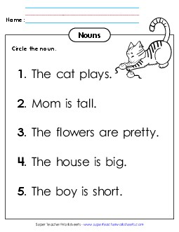 Identify Nouns (A)  Worksheet