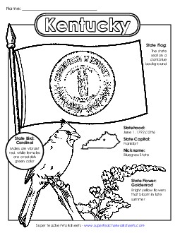 Kentucky State Symbols Coloring Page States Individual Worksheet