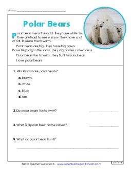 Polar Bears (Short Article) 1st Grade Reading Comprehension Reading Comp Short Worksheet