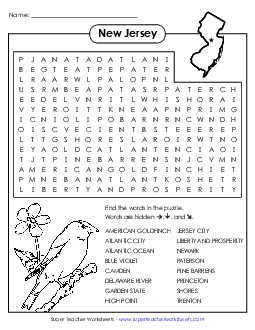 Word Search Puzzle States Individual Worksheet