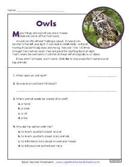 Owls (Nonfiction) 2nd Grade Reading Comprehension Reading Comp Short Worksheet