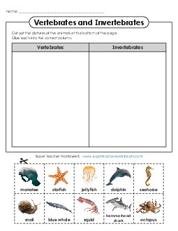 Invertebrate-Vertebrate Cut-and-Sort (Sea Animals) Invertebrates Worksheet