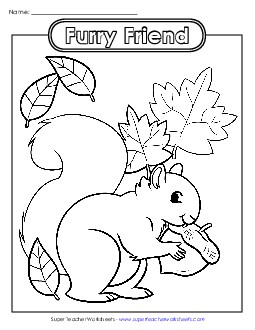 Coloring Page: Squirrel Coloring Pages Worksheet