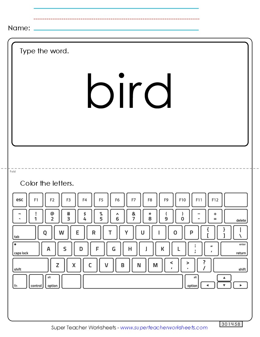 Type the Word: Bird Sight Words Individual Worksheet