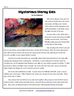 Mysterious Moray Eels 6th Grade Reading Comprehension Worksheet