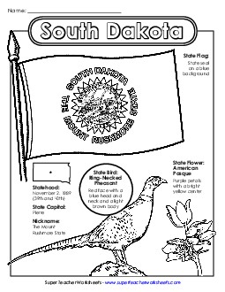 South Dakota State Symbols Coloring Page Free States Individual Worksheet