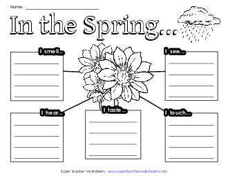 Five Senses: Graphic Organizer Worksheet