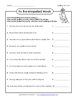 Fix the Mistakes (C-24) Spelling C Worksheet