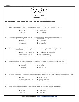 Vocabulary for Chapters 11 & 12 Book Chocolate Touch Worksheet