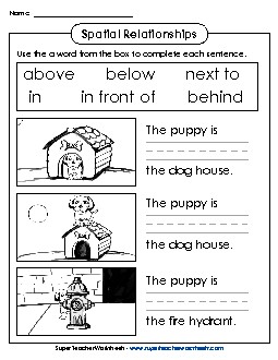 Dog & Cat Spatial Relationships Free Worksheet