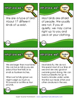 What Are We? Challenge (Penguins) Challenges Worksheet